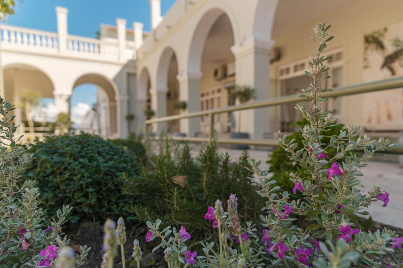 קאבוס Olive Grove Beachfront Apartments & Seaview Suites (Adults Only) מראה חיצוני תמונה